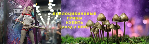 МДМА Алексеевка