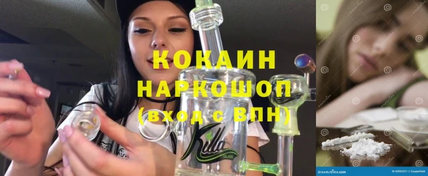 шишки Алзамай