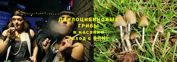 шишки Алзамай