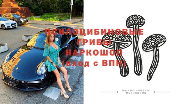 шишки Алзамай