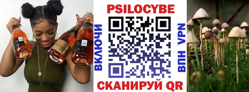 купить наркотик  Ревда  Галлюциногенные грибы Psilocybine cubensis 
